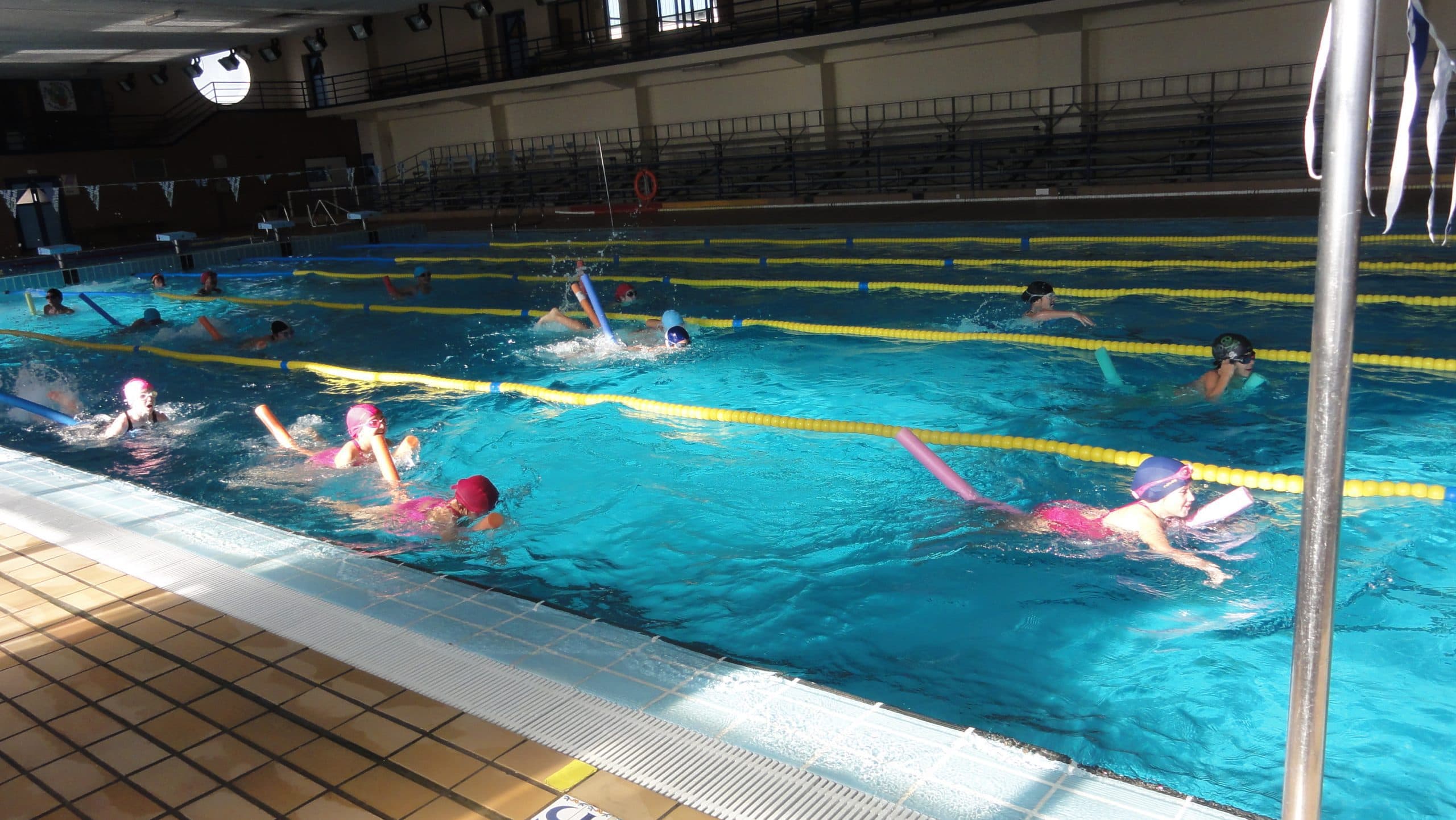 Temporada 2015 · Atletismo Inmaculada