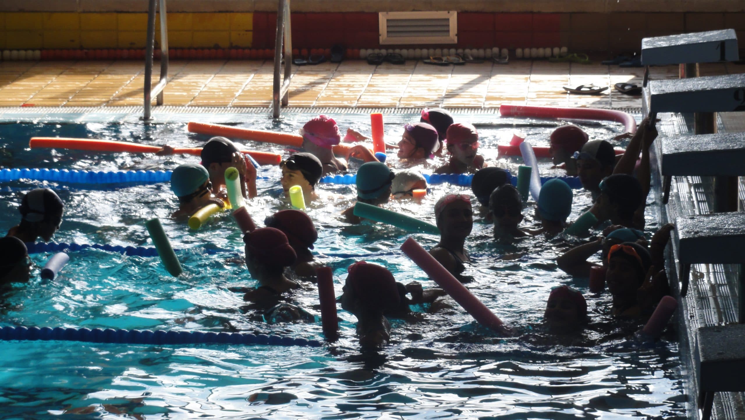 Temporada 2015 · Atletismo Inmaculada