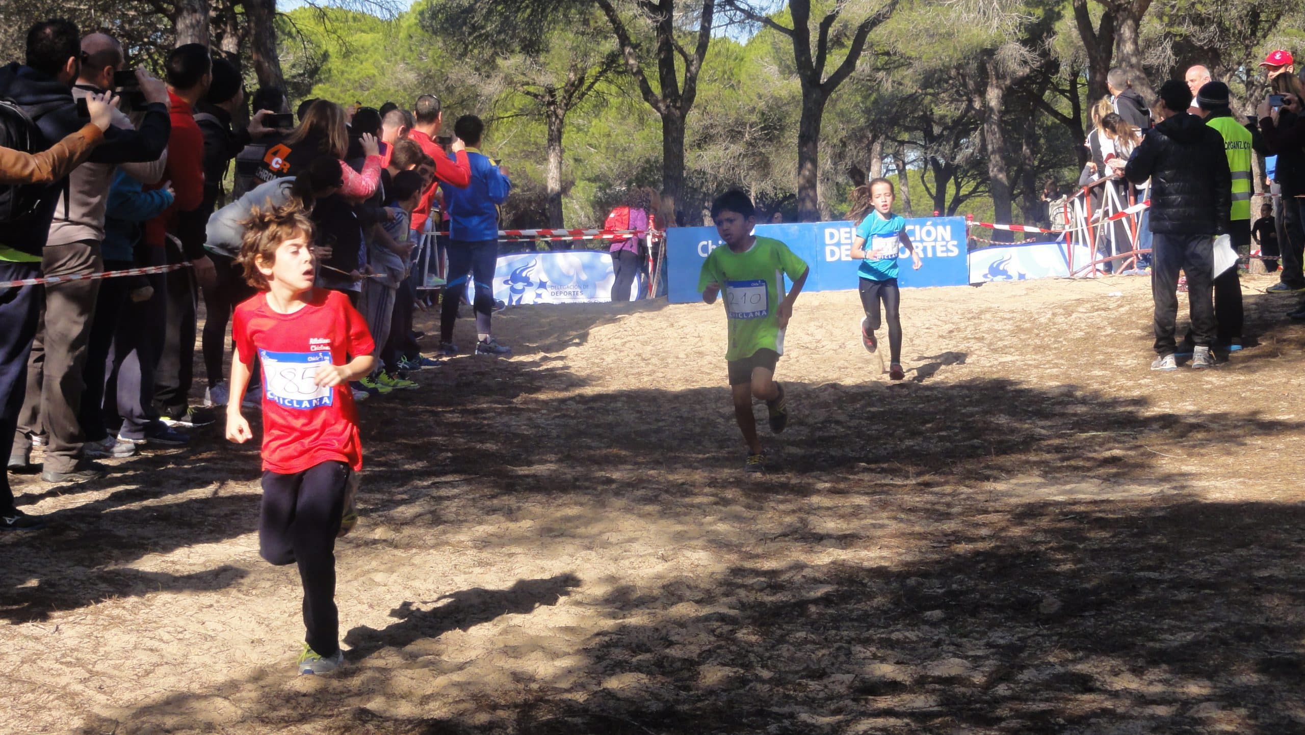 Temporada 2015 · Atletismo Inmaculada